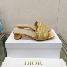 Christian Dior Slippers